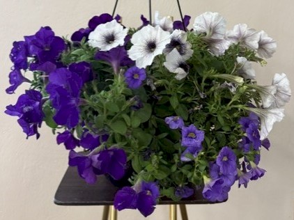 Flowers from Joe, Ted, Arlene, Kassie, and Jarred