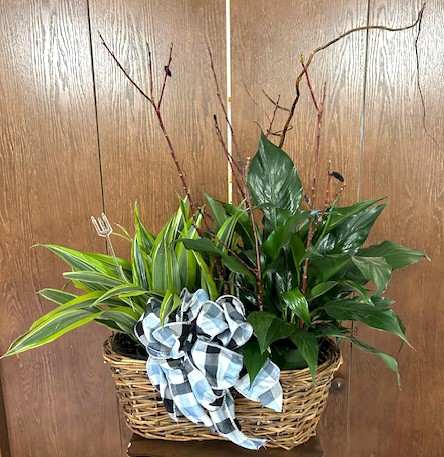 Flowers from Chuck and Korina Wick and Family and Nancy Wick