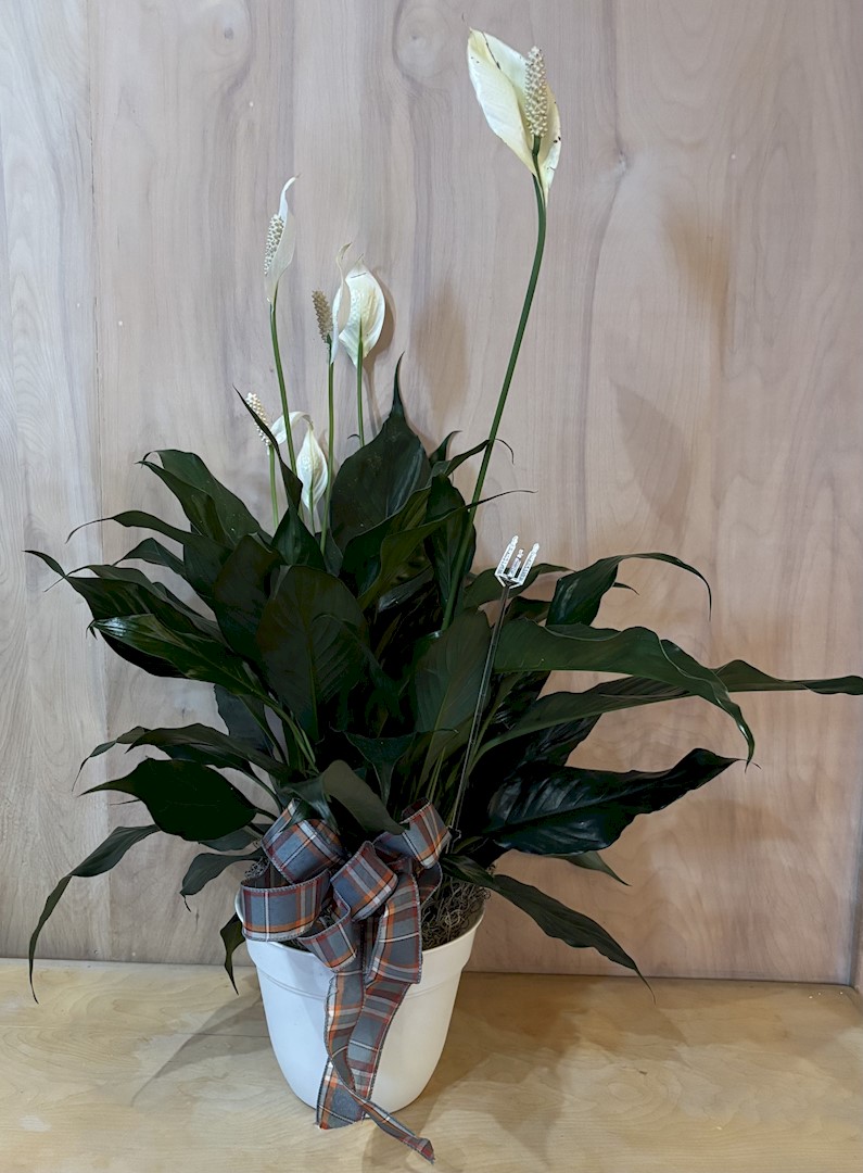 Flowers from Cattle Business Weekly