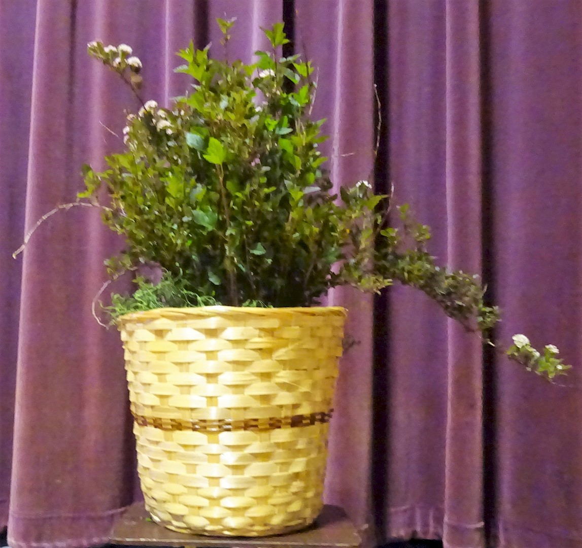 Flowers from Jim and Debbie Antonsen and Families