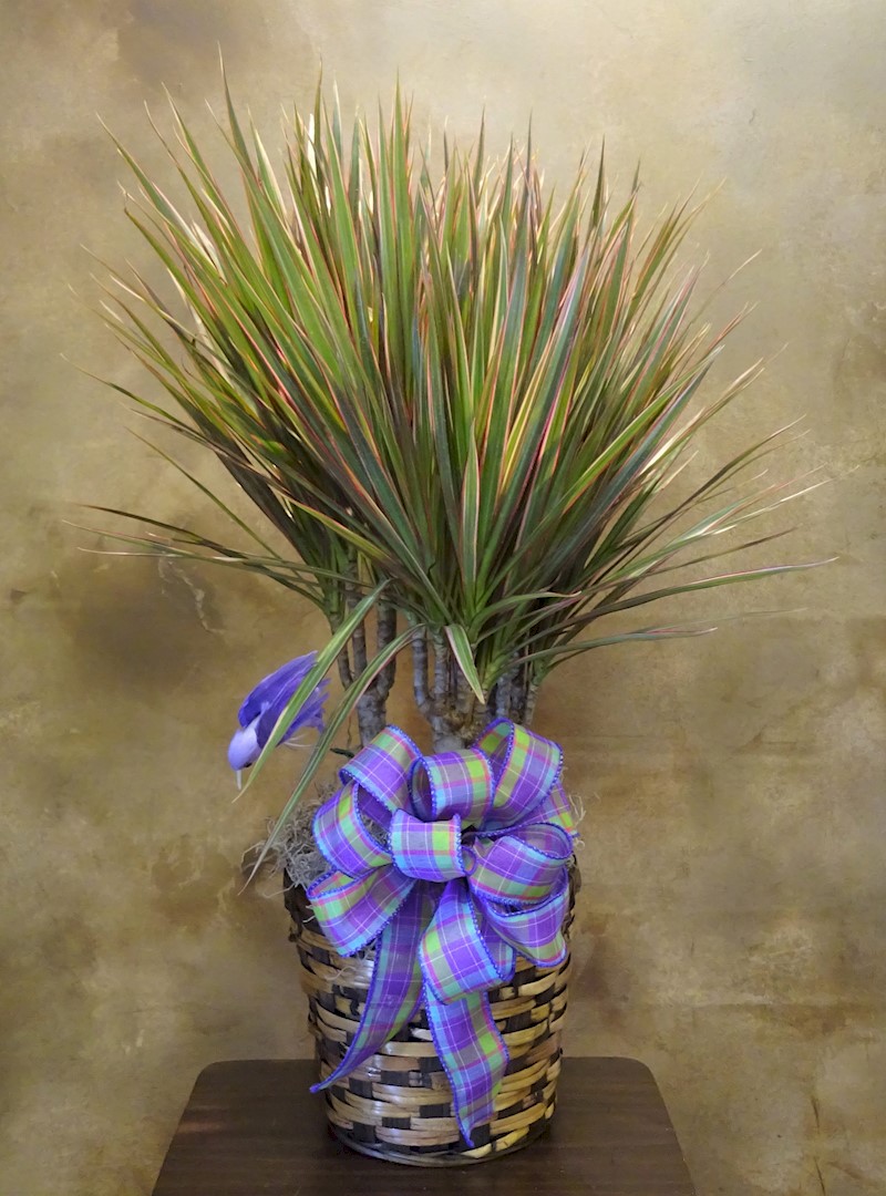 Flowers from Class of 2001