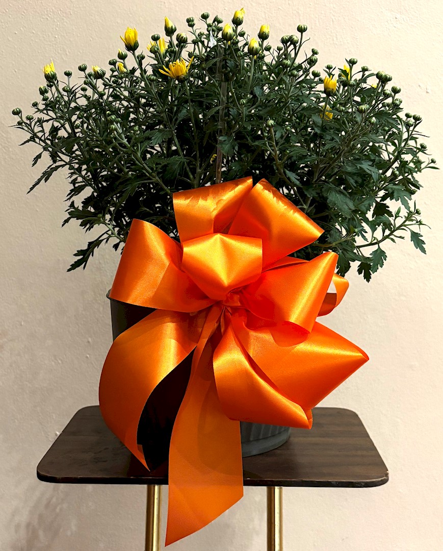 Flowers from Carol Anne Keyser Hodge