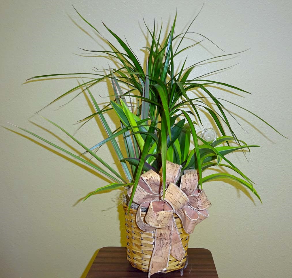 Flowers from Stulken, Petersen, Lingle, Walti, and Jones LLP - Pierre, SD