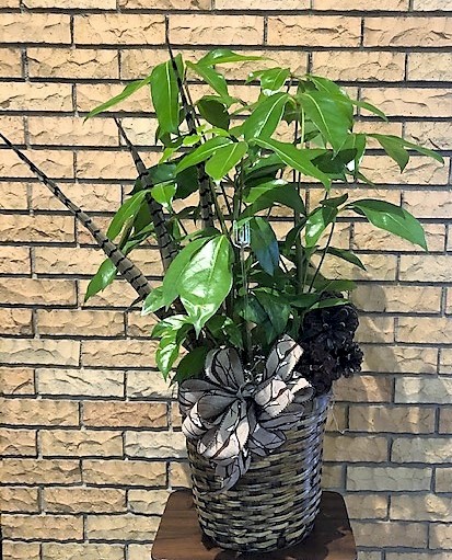 Flowers from Kevin, Kellie, Lainee, and Tally