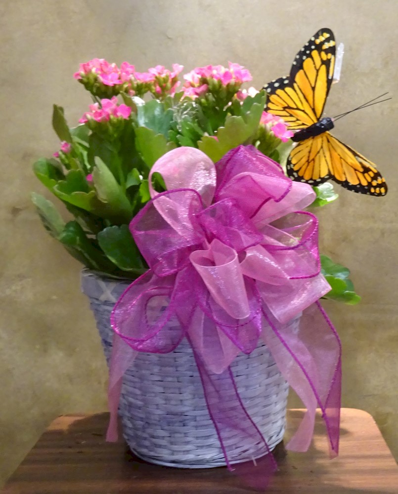 Flowers from Dakota Country Pharmacy