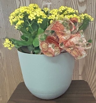 Flowers from Dakota Country Pharmacy