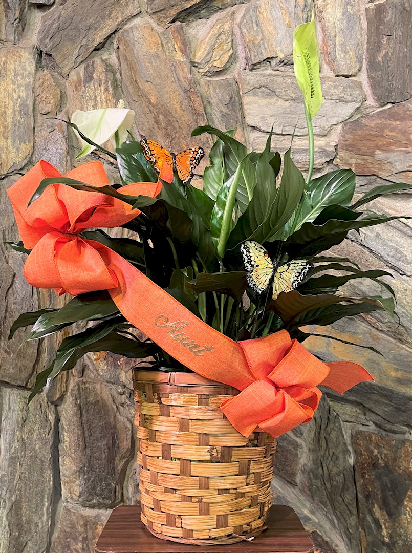 Flowers from Family - "Aunt"