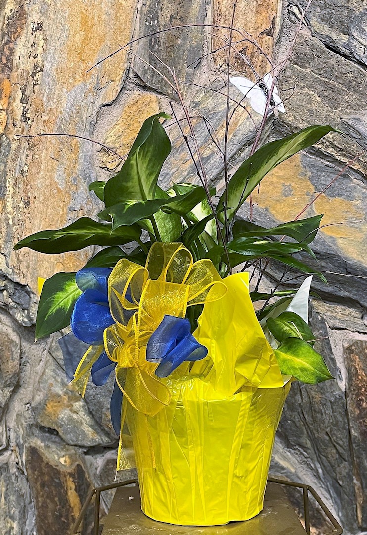 Flowers from Dakota Country Pharmacy