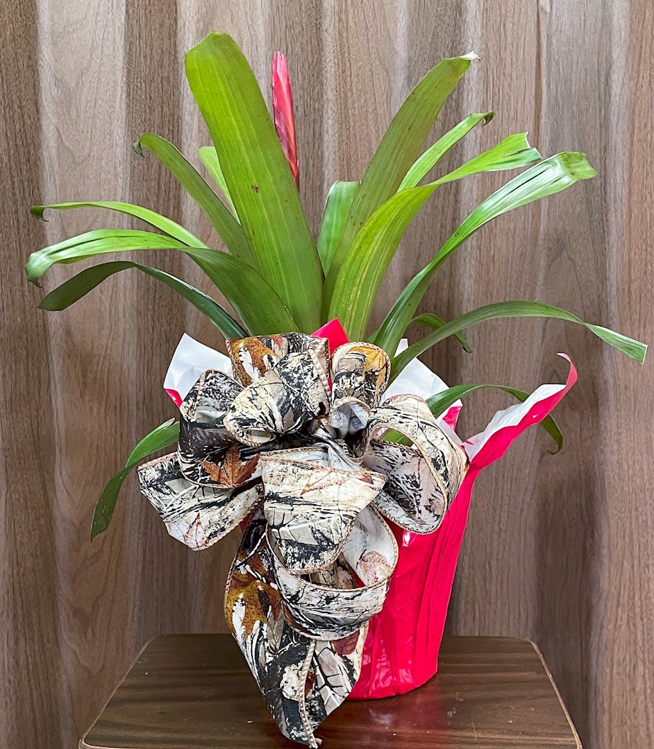 Flowers from Black Hills Corporation Accounting Team