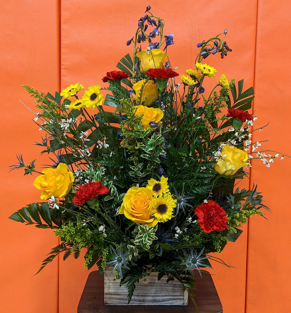 Flowers from The Munroes 
The Rapiers
