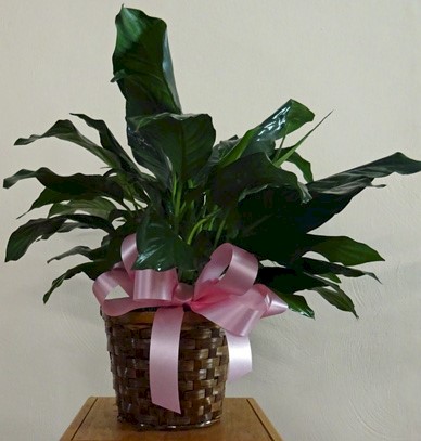 Flowers from Stulken, Petersen, Lingle, Walti, and Jones LLP