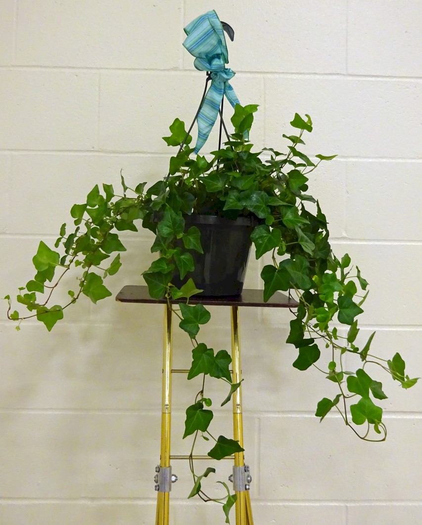 Flowers from Kim and Hank