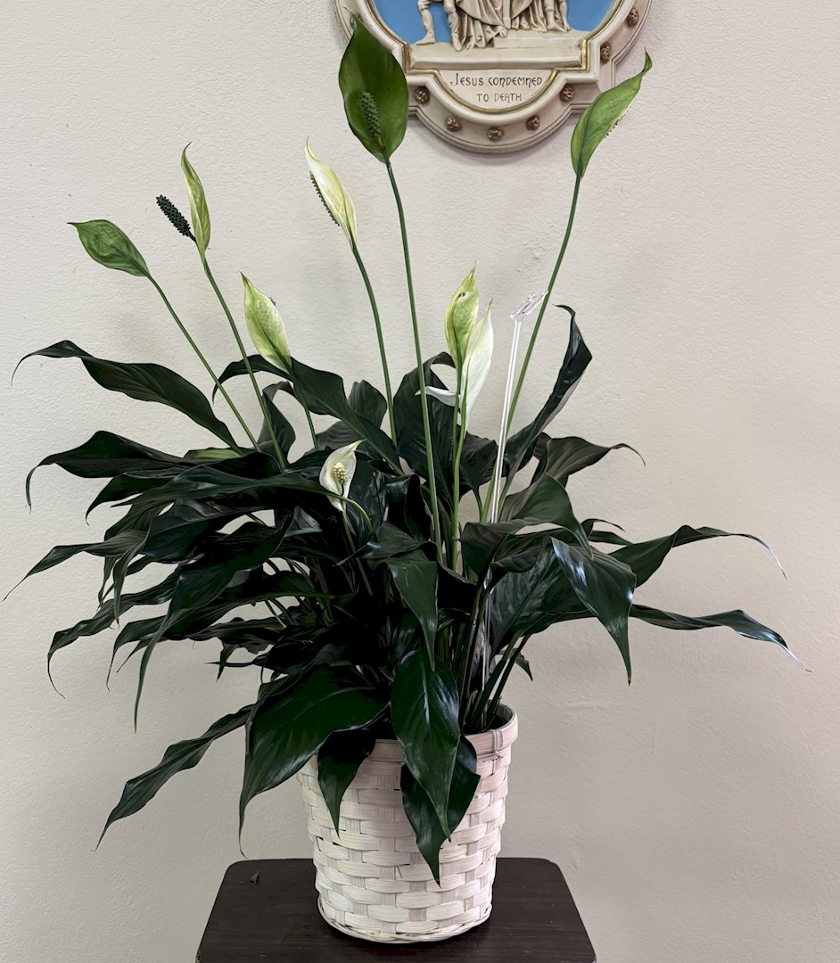 Flowers from Your Avera Family