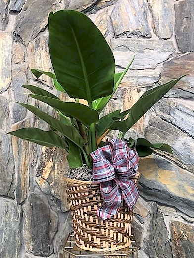 Flowers from Kristi and Tim Peart