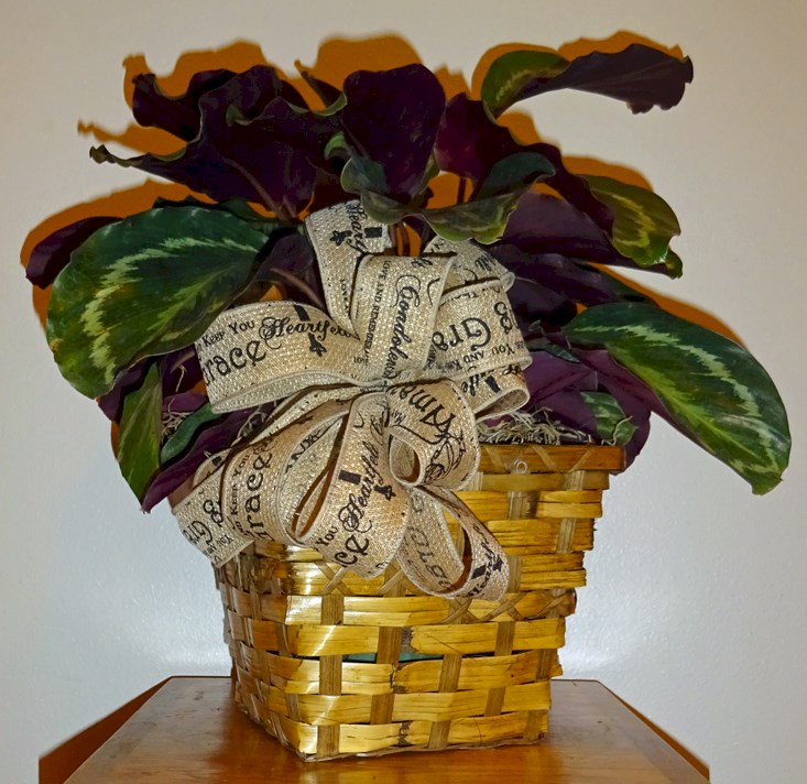 Flowers from Everyone at Belle Fourche Health Care Community