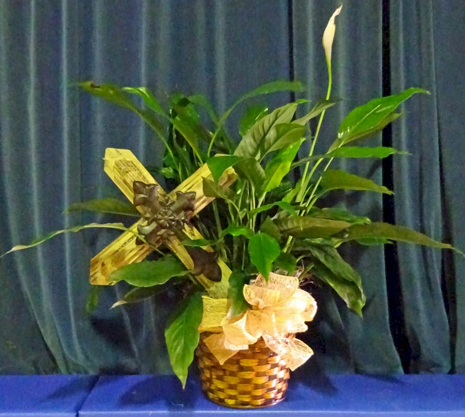 Flowers from Class of 1970