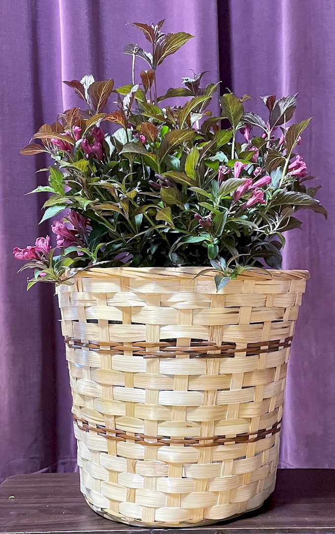 Flowers from Deidra and Cory; Martin and Jeanie; and Dustin, Steph, and Colton