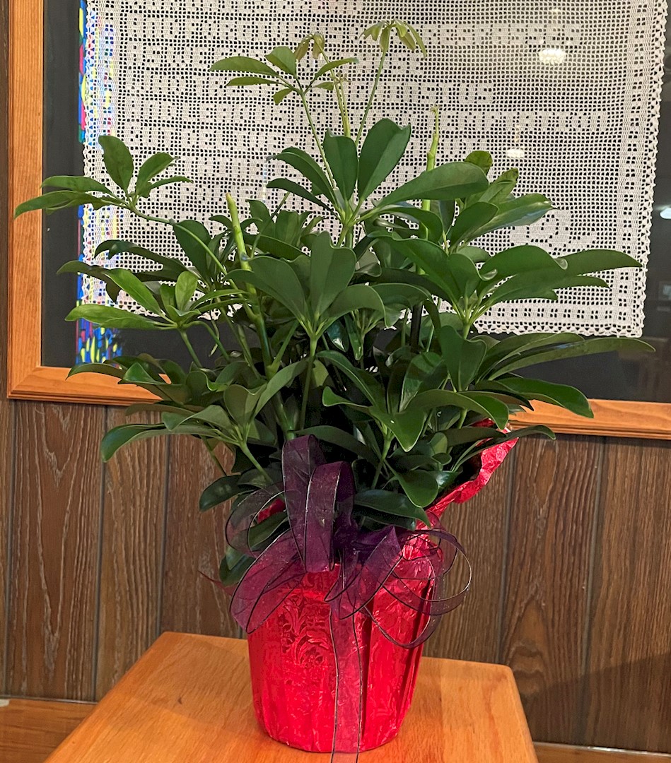 Obituary Marlin Evans