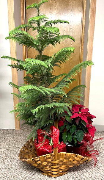 Flowers from The Radway Family: Sandy, Tom, Todd, Stacy, and Mark