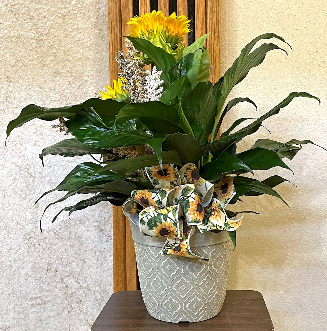 Flowers from RE Clinic Family