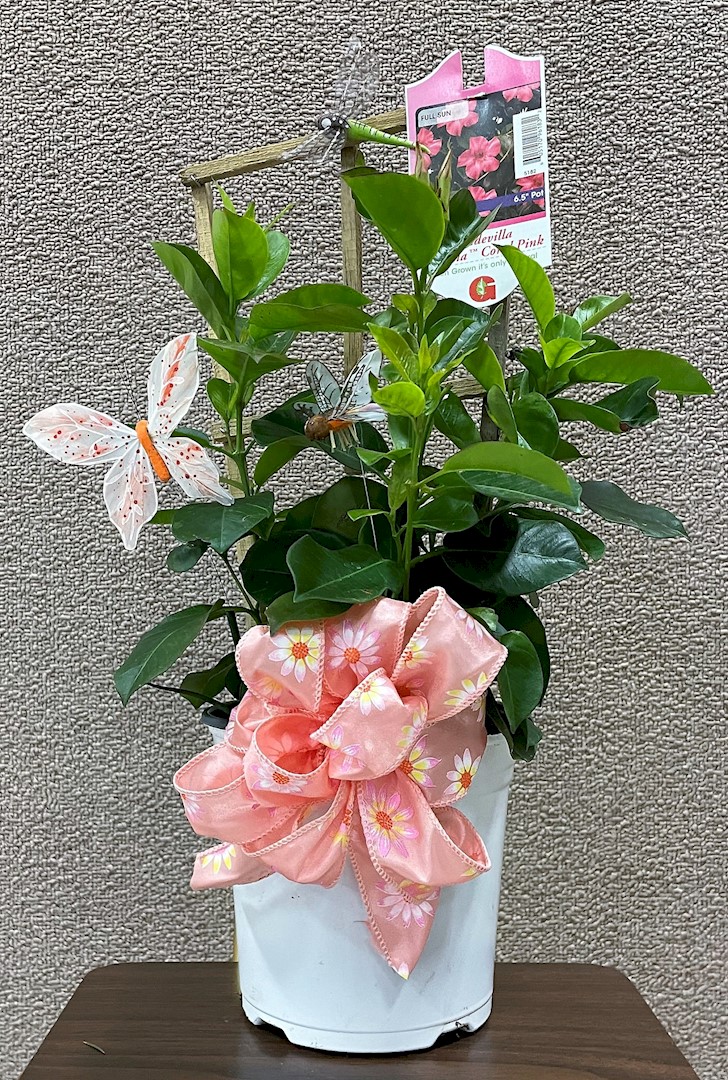 Flowers from The Office Girls - Cristina, Brooks, Bobbie Jo, Laura, and Anne Jo