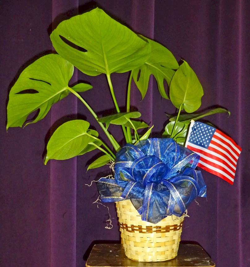 Flowers from Larry & Nancy Auch and Lindsay & Brandon Kinzer
