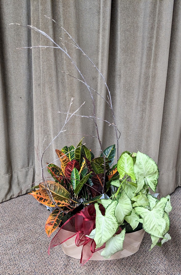 Flowers from The Petersen's