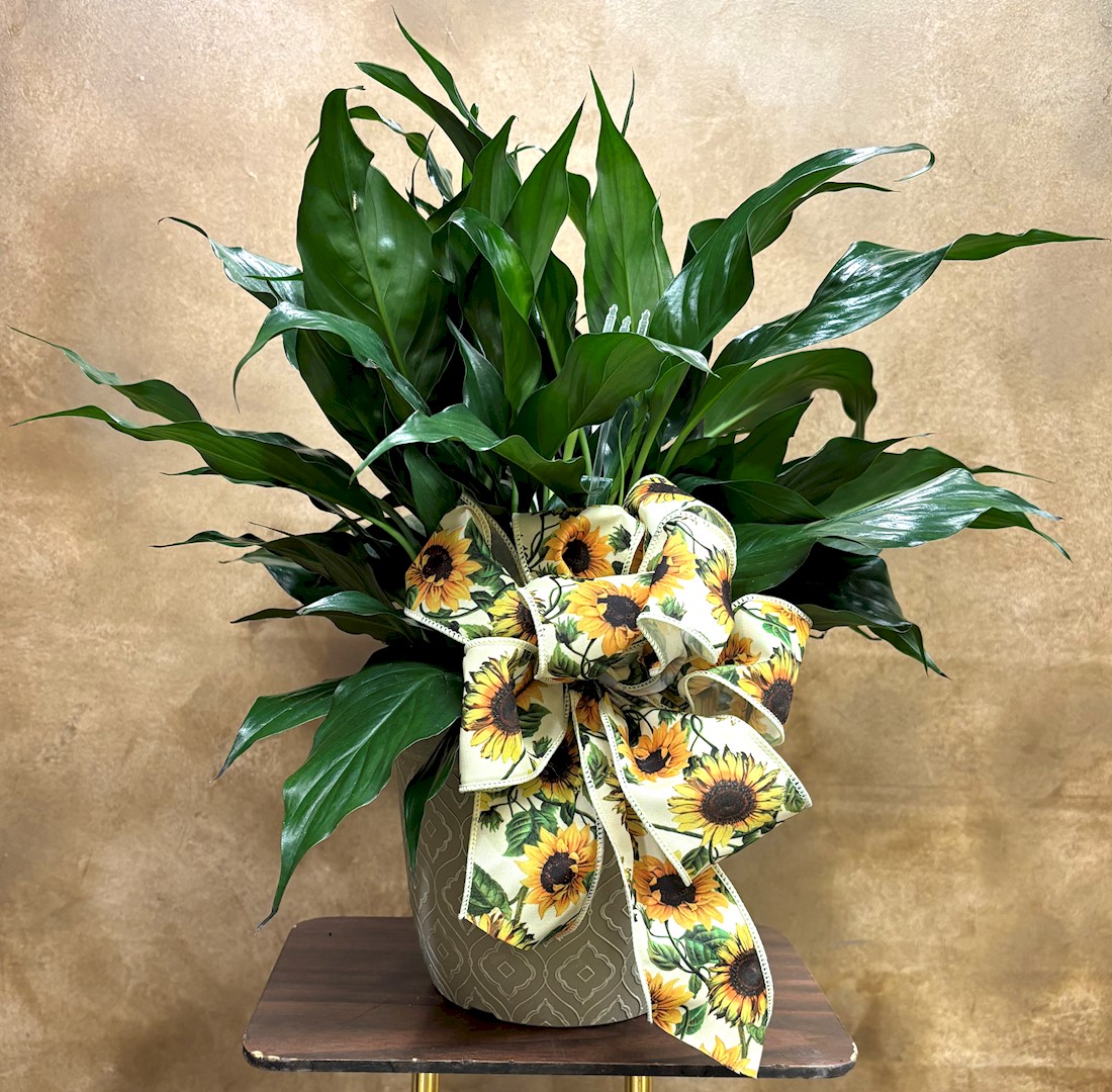 Flowers from Stulken, Petersen, LLP