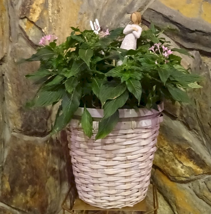 Flowers from Haakon-Jackson County 
USDA Service Center