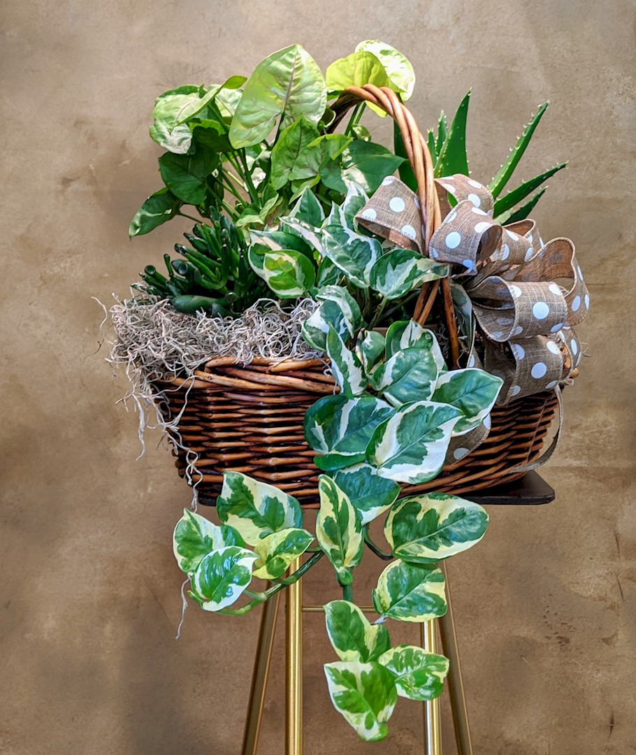 Flowers from The Serr's