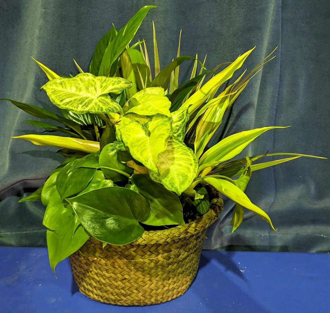 Flowers from Patrick Oil Company