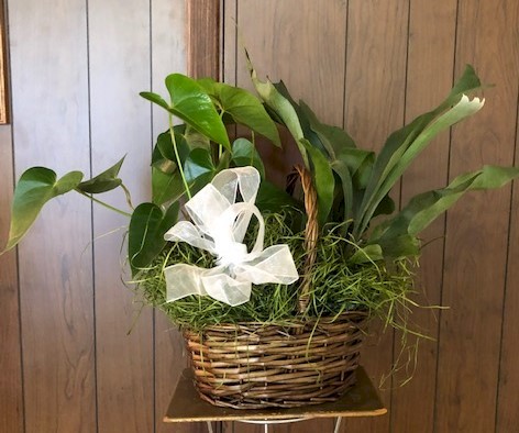 Flowers from Lonny and Carrie