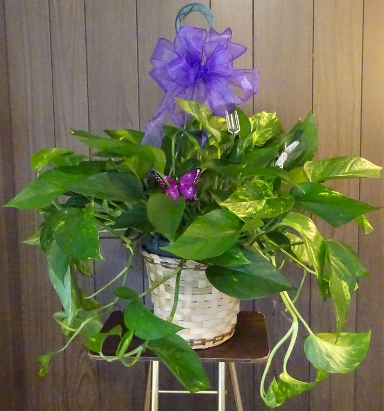 Flowers from Class of 1997