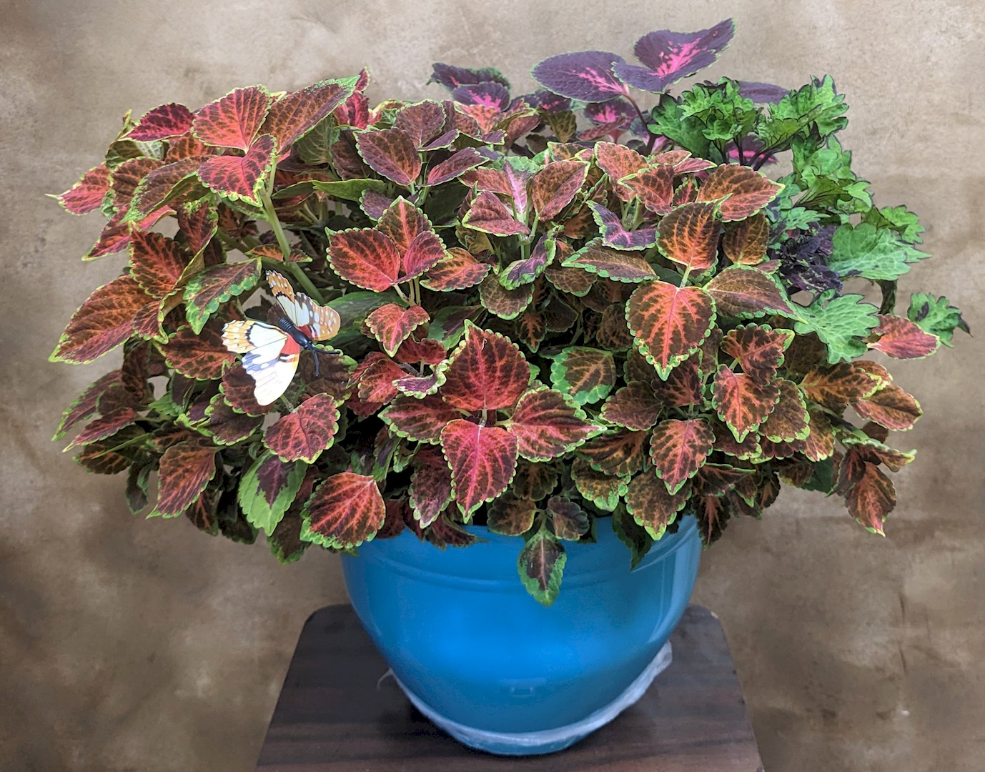 Flowers from Mike and Shar Moses