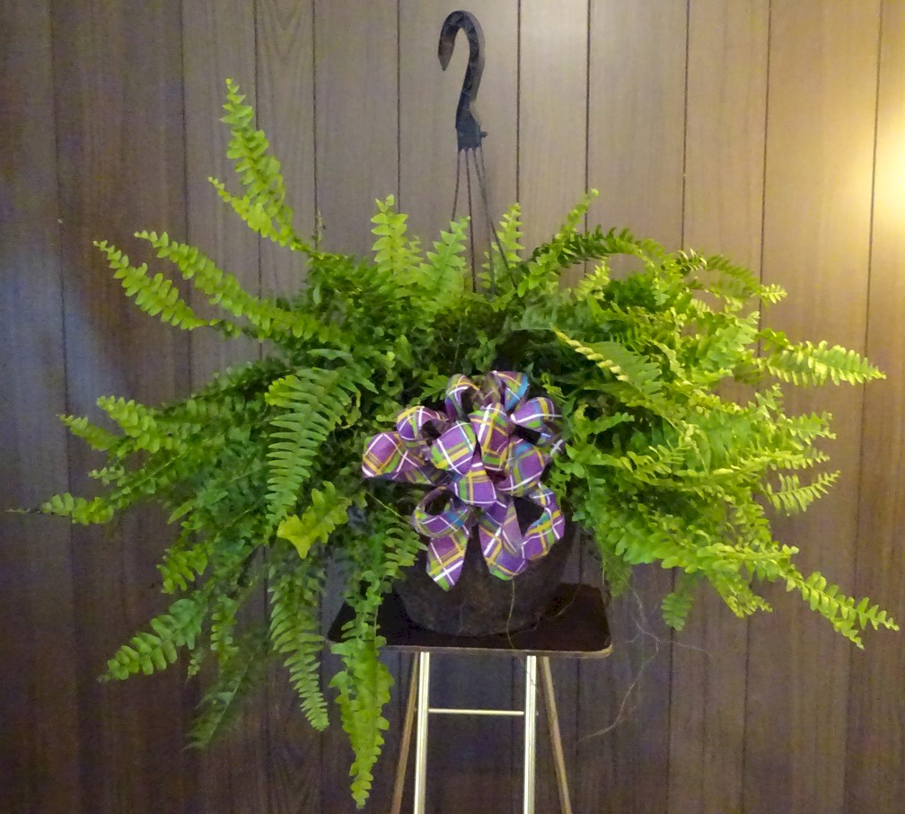 Flowers from Ted and Lora Racek