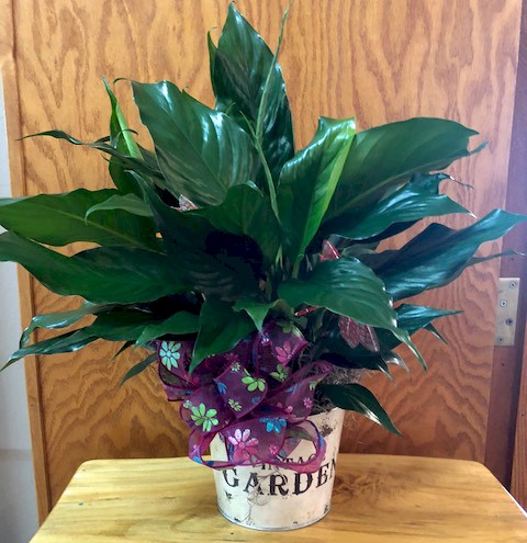 Flowers from Sandy, Bobbie, and Janet