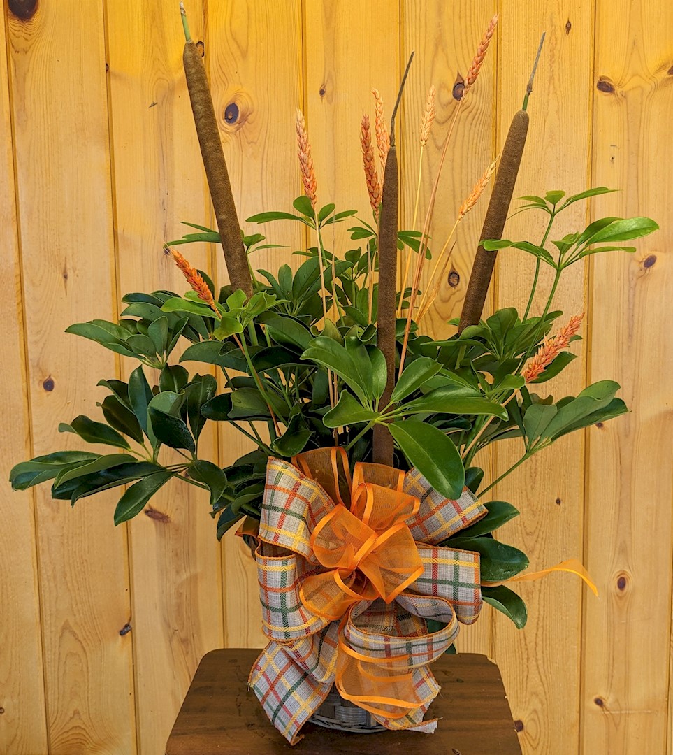 Flowers from The Dunkers