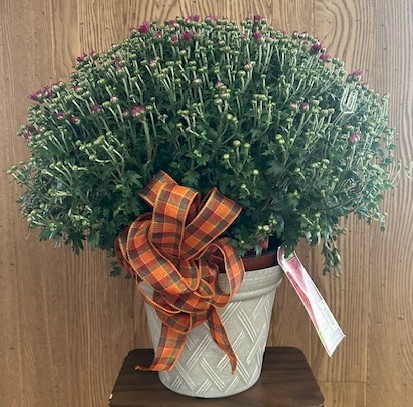 Flowers from Mama Ann, Kathy, Greg, Ronnie, and Families