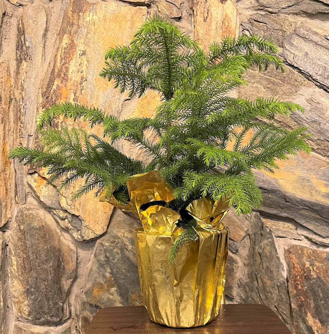 Flowers from Jake and Sarah VanderMay and Family