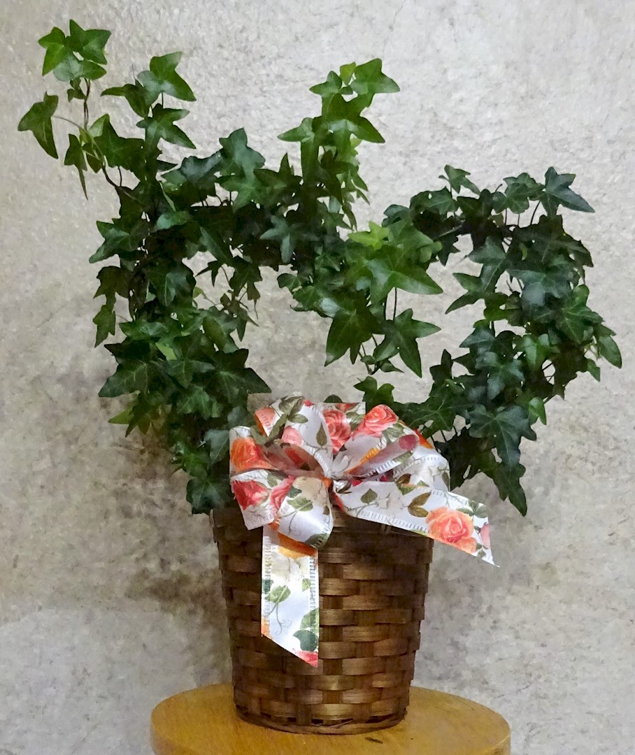 Flowers from Patty Huether