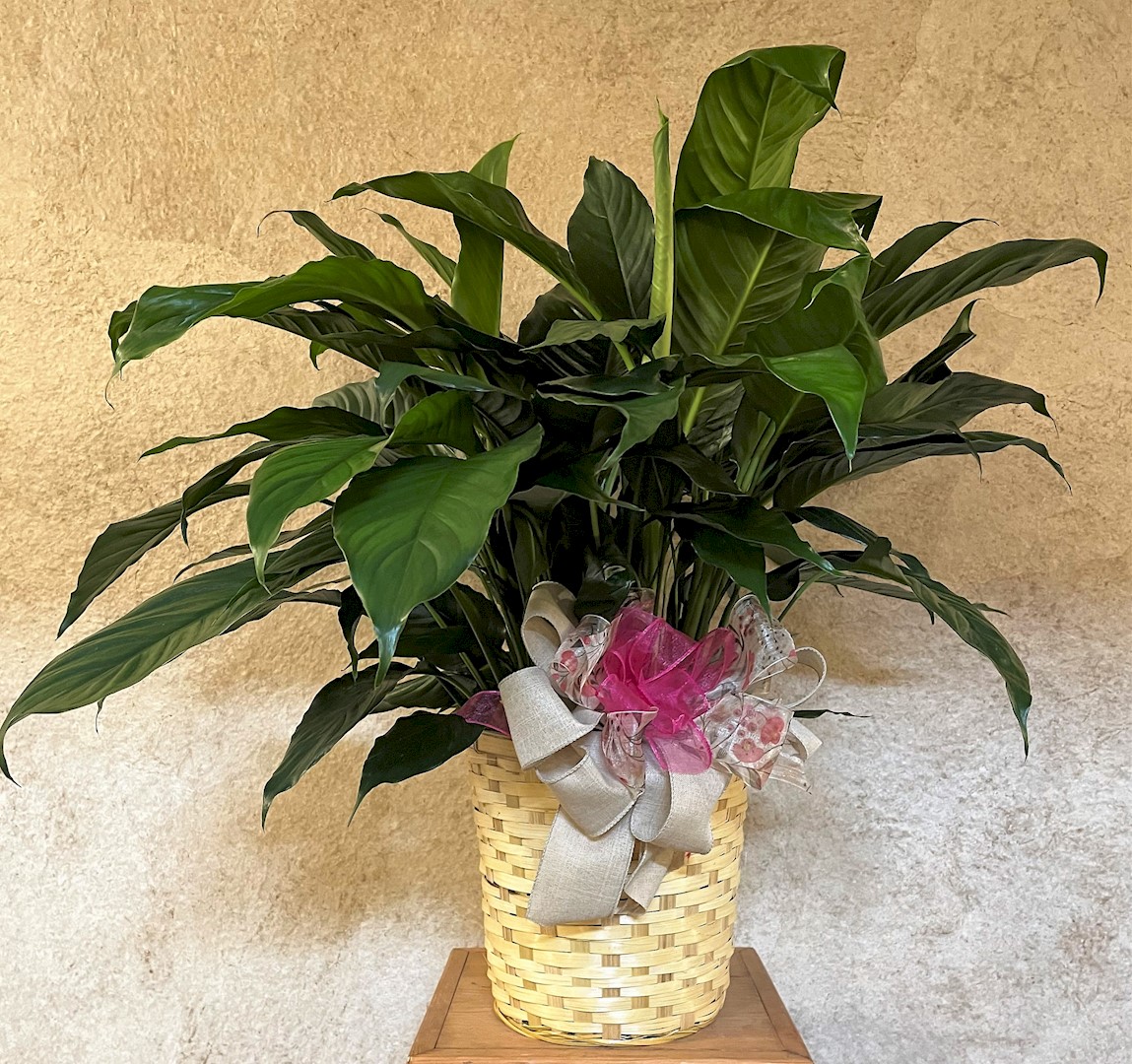 Flowers from Philip and Mary Kay Wilson and Kenneth and Janet Wilson