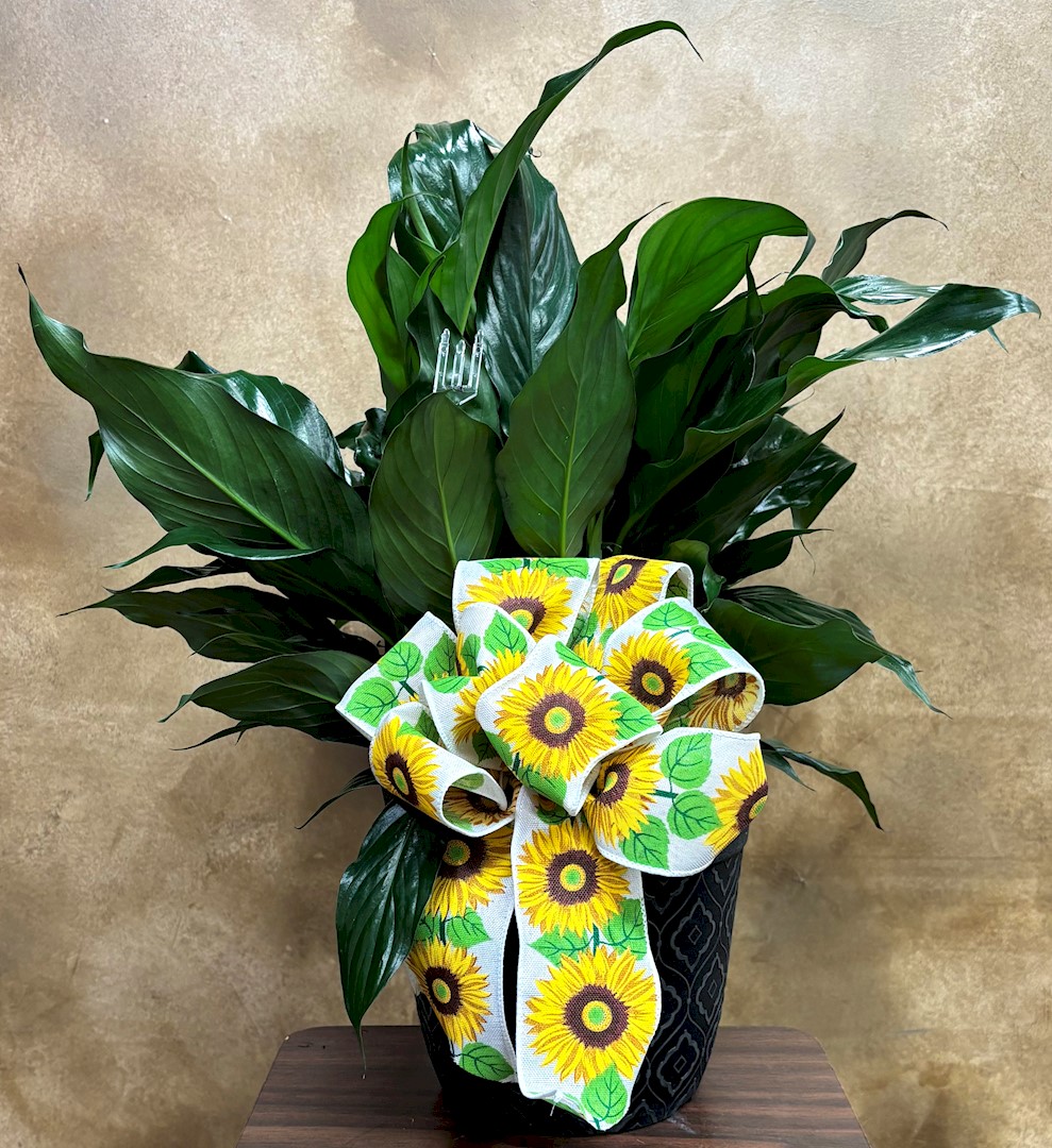 Flowers from Gene Victor, Mike and Dan Franklin, and DeAnna Wilson