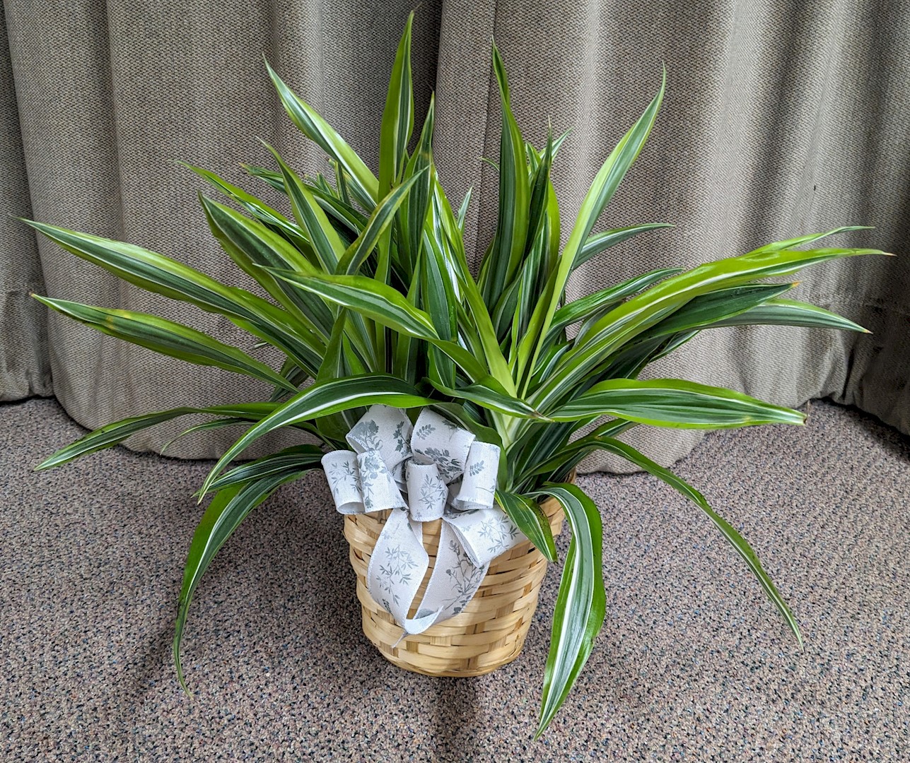 Flowers from Jeff and Kelly Penticoff