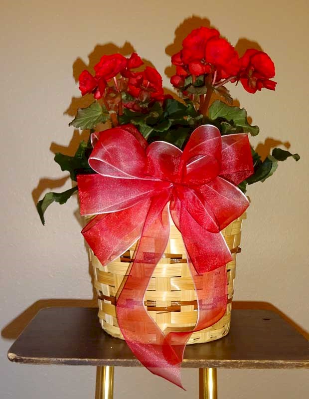 Flowers from Sanford Health Fertility and Reproductive Medicine