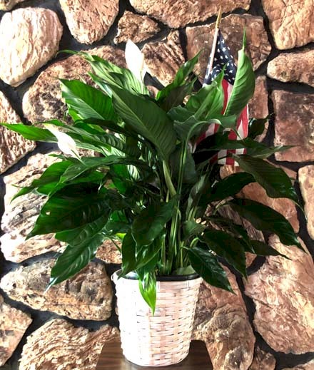 Flowers from Linda "Belle", Bob Albert, and Family