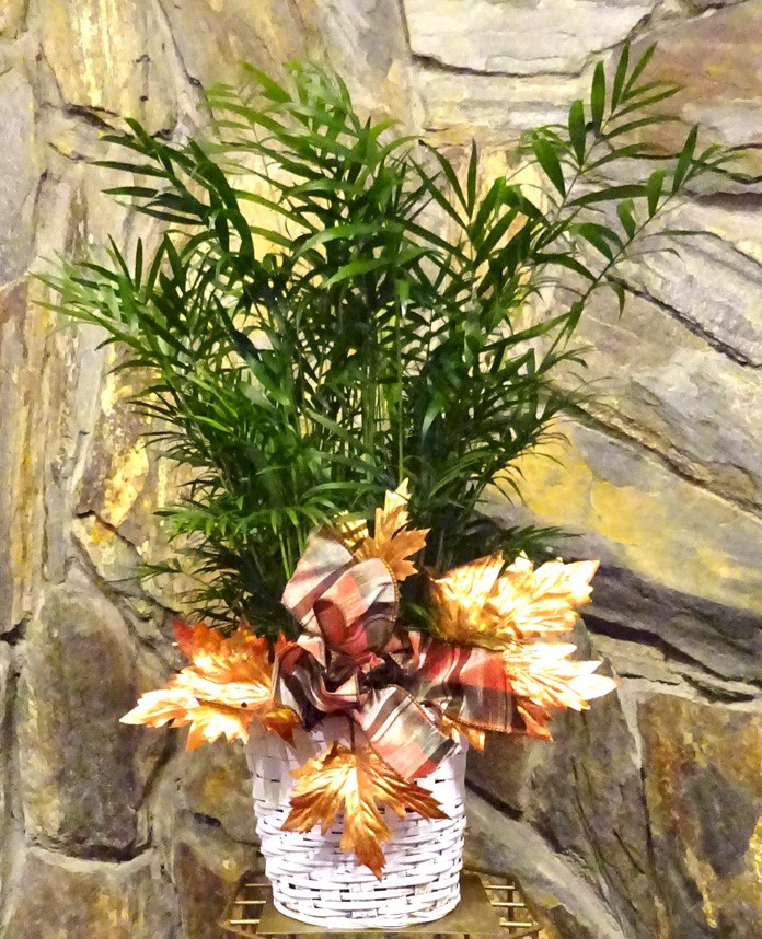 Flowers from Mike, Luke, Kenny, and Caleb