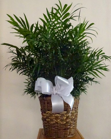 Flowers from Loren, Linda and Family and Brent, Lynette and Family