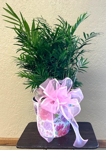 Flowers from Dakota Country Pharmacy