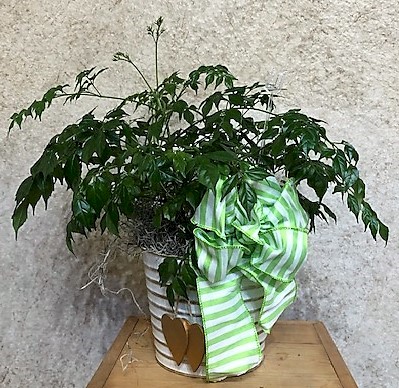 Flowers from Bill Lyle