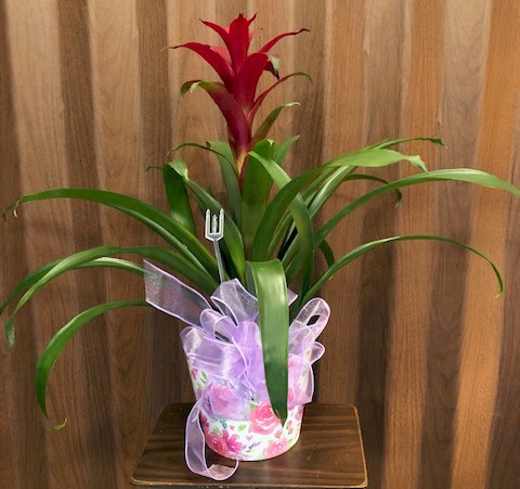 Flowers from Class of 1997